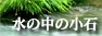 水の中の小石